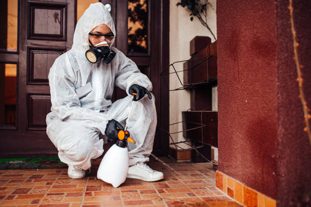 Reliable Cockroach Control contractor in Terra Alta, WV by Nex Pest Control