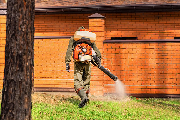 Trusted Termite Control service in Terra Alta, WV - Nex Pest Control